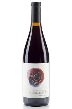 2021 Consilience Pinot Noir - Santa Barbara County