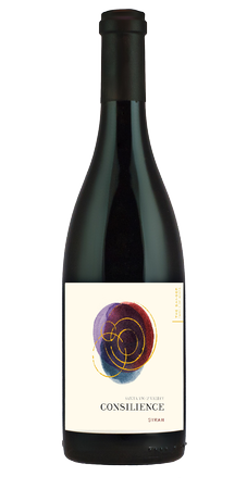 2013 Syrah Santa Ynez Valley Case