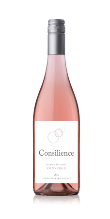 2016 Converge Rose Image