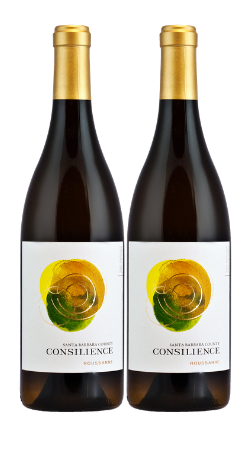 Roussanne SBC BOGO CASE