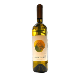 2019 Consilience Sauvignon Blanc
