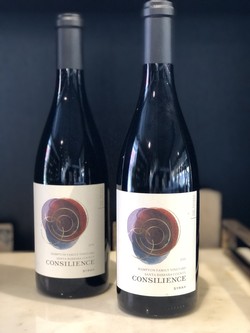 2-Bottle 14' Hampton Syrah