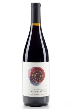 2019 Consilience Purple Beast Red Blend