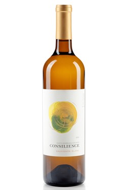 2021 Consilience Sauvignon Blanc - Santa Barbara County